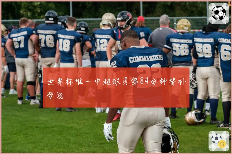 世界杯唯一中超球员第84分钟替补登场