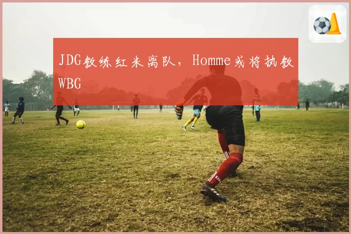 JDG教练红米离队，Homme或将执教WBG