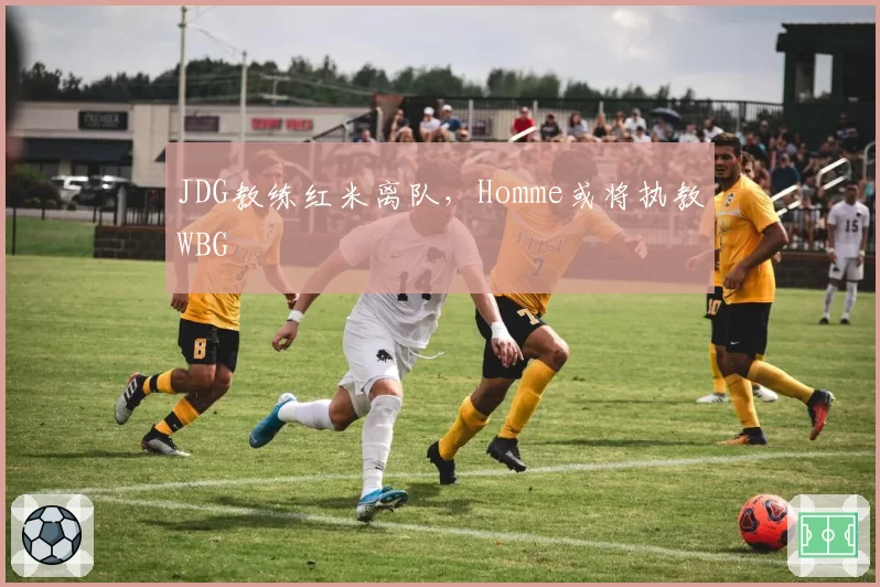JDG教练红米离队，Homme或将执教WBG